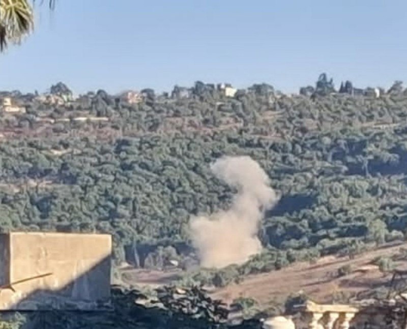 🚨 Artillery bombardment aimed at Aita al-Jabal forest