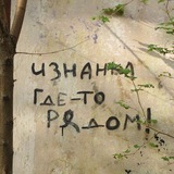 Изнанка серого дома