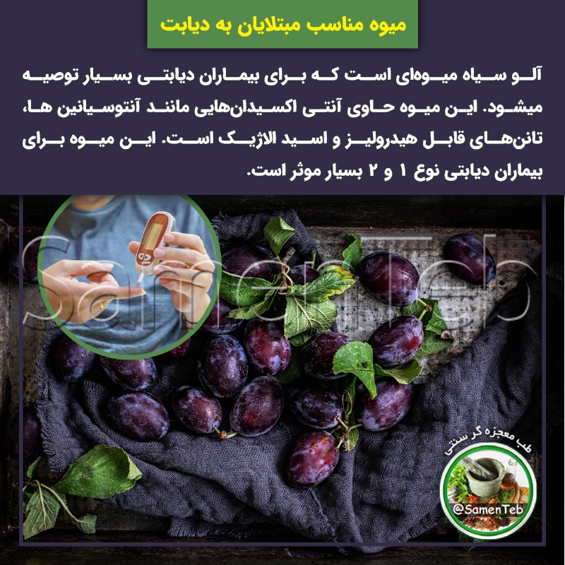 🍃طبِ معجزه‌گرِ سنتی🍂: ✅ میوه‌ مناسب مبتلایان به #دیابت🔹آلو سیاه میوه‌ای است که برای بیماران دیابتی بسیار توصیه می‌شود. این میوه حاوی آنتی اکسی