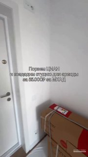 Обзор квартиры площадью 21,7 м Автор - Диана Романова Дизайн и ремонт - изображение 1 - обзор, квартиры, площадью