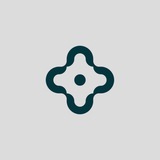 Salini