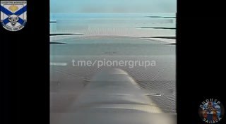 t.me