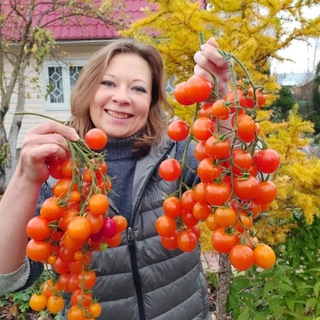 Telegram profile photo for Светлана Самойлова