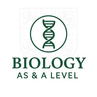 Biology AS & A Level Group Chat