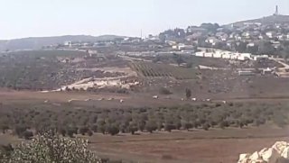 מעקב אחר התנועות המתמשכות של עדרי מתנחלים בין העיירות קוסרה וג'לוד, מדרום לשכם.