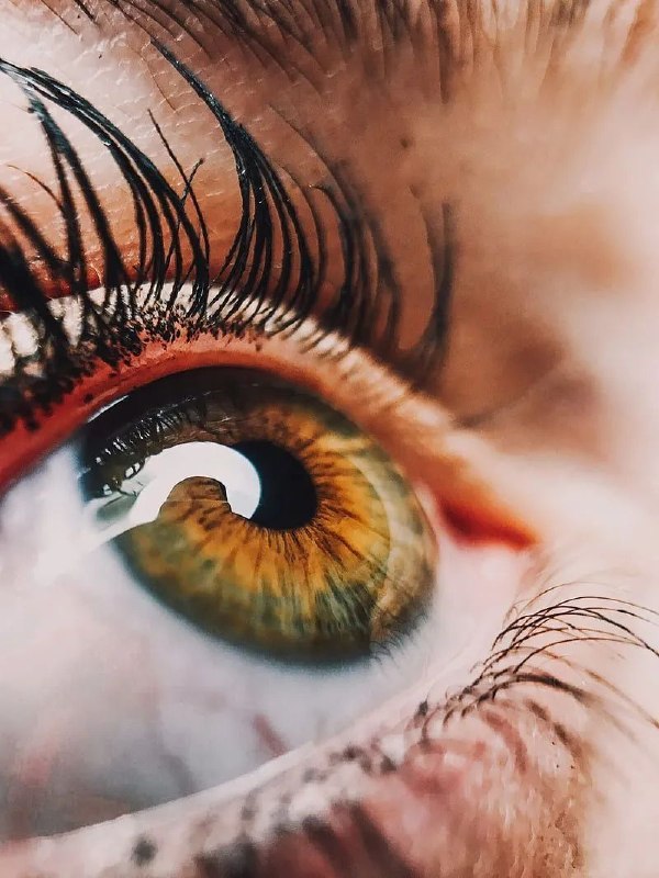 My Favorite photoS: رسانه پست