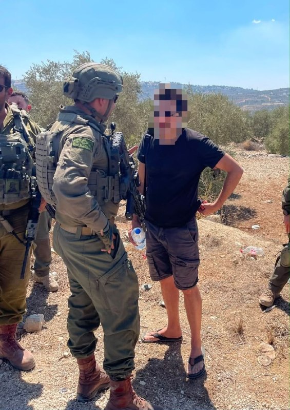 ניצן שפירא