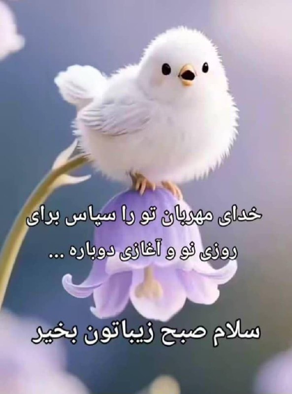 آسمانی ، ملکوتی ، روحانی ، شهدایی ، داستانی ، عرفانی، مذهبی ، انقلابی، قرآنی ، خانوادگی ، خدایی، معن: ✨سلام صبح بخیر 🌸🎍 چهارشنبه تون 🌸🎍ڪَلبــارون عزیزان 🌸🎍سلامت باشیدو 🌸🎍پرامیدوموفق🕊💚@fazayeasmaney