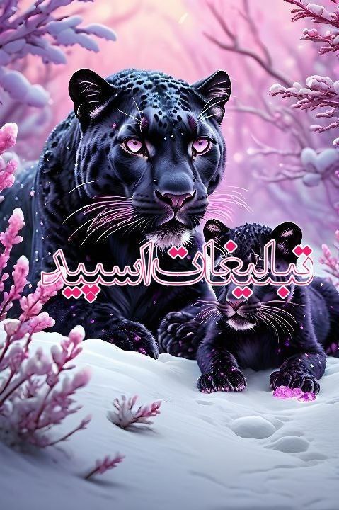 لینکدونی گروه چت همدان: ❶﹚ نام : SHOMAL LAND❷﹚ نو؏ تبلیغات : #telegram❸﹚ توضیحات :╭───────────────╮ 🪷 به گپ ما خوش اومدی 🪷 ╰───────────────╯🌸 قو