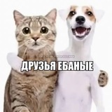 щщитпост юмис
