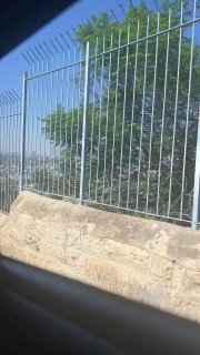 صورة لقبة الصخرة بالمسجد الأقصى تنتشر على تيليغرام