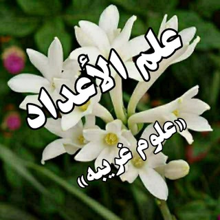 🌹 علم الاعداد «ابجد»