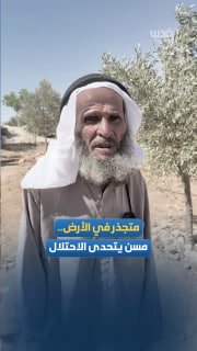 חאג' איברהים אל-ג'בור ומשפחתו של נשים וילדים איתנים עומדים בפני התקפות של מיליציות מתנחלים וצבא הכיבוש במסא…