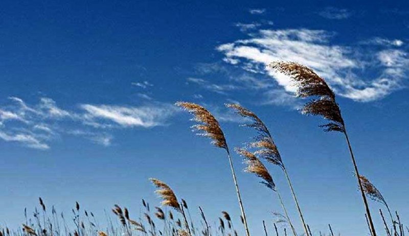 🔸 Forecast of scattered rain in the districts of the Caspian coast