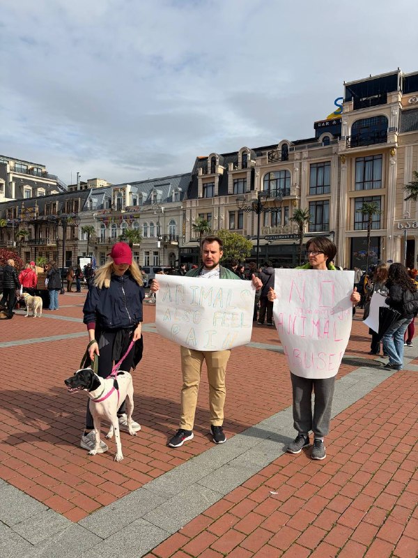 🪧🐕 Митинг в защиту животных прошёл в Батуми! — фото 1