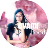 Info gvami flood