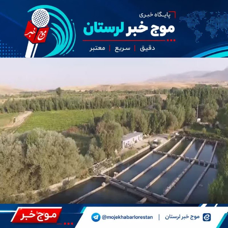 موج خبر لرستان: 💥 ۷ طرح شیلاتی در لرستان افتتاح می‌شود🔹هم‌زمان با هفته دولت، ۷ طرح شیلاتی در لرستان به بهره‌برداری می‌رسد.🔹این طرح‌ها بی