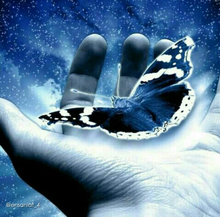 🌹👌سخنان ناب و پند آموز👌🌹: التماس به خدا جرأت است . اگر برآورده شود ، رحمت است ، اگر برآورده نشود ، حکمت است . التماس به انسان خفت است . اگر برآورد