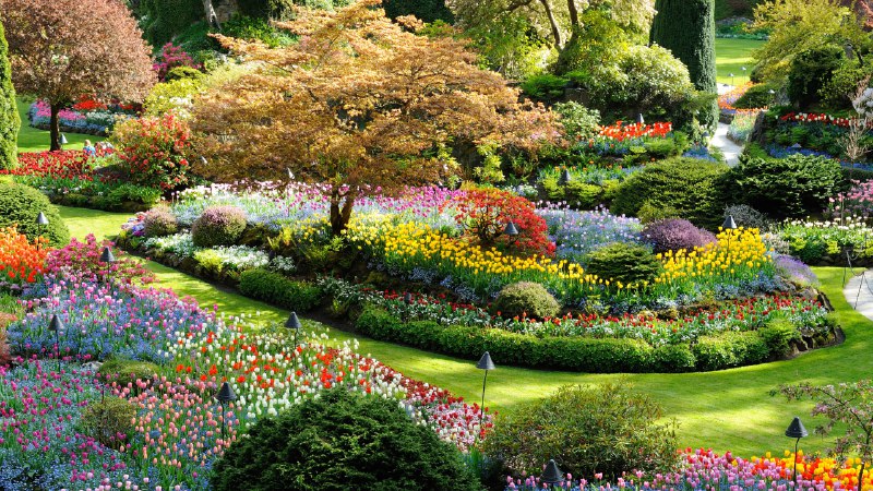 Bloom where you're plantedButchart Gardens in Brentwood Bay, British Columbia, Canada (© 2009fotofriends/Shutterstock)
