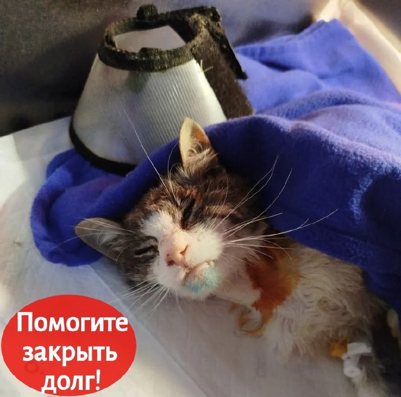 Дорогие друзья, благодаря вашей поддержке вчера нам...