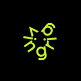 Vingrig