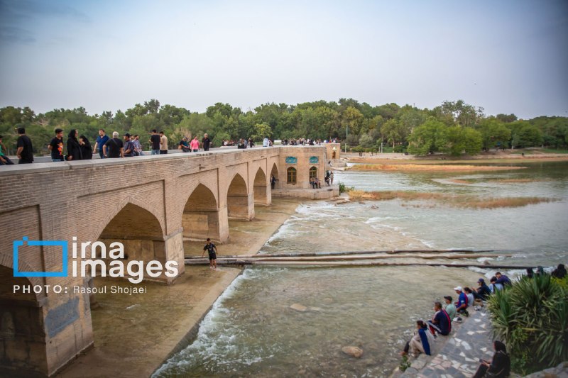 יתושים מעצבנים; אורחים לא קרואים של Zayandeh Rood