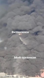 Большой разбор того, что наука сегодня знает о коллагене: кому и чем он может быть полезен и стоит ли переплачивать за добавки с ним: https://lentach.media/UTJmD