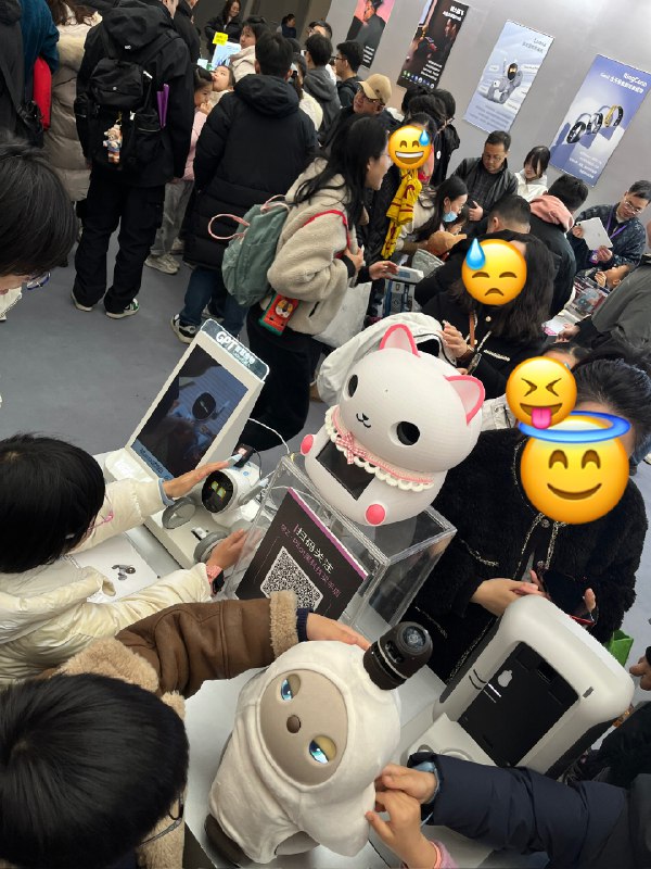 家长和小孩最多，主要还是看小朋友们在玩各种硬件、机器宠物和 3D 打印