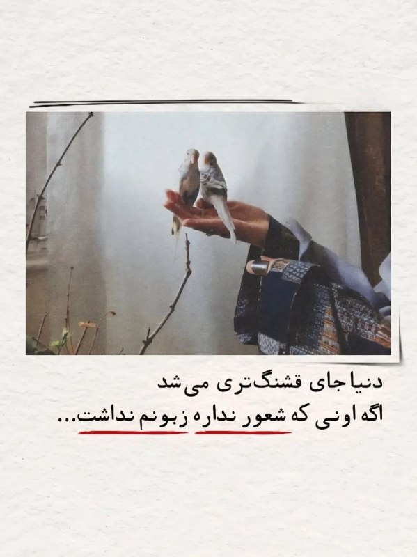 روزنگار سین شین: 🍇 @sin_shin_daily_notes 🍇