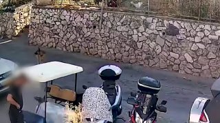 גיא ורון