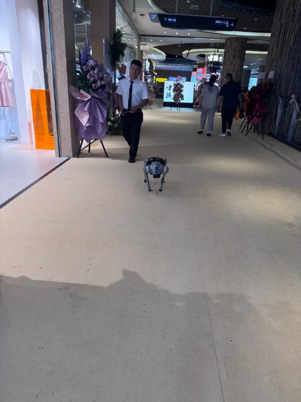 巡逻的机器狗