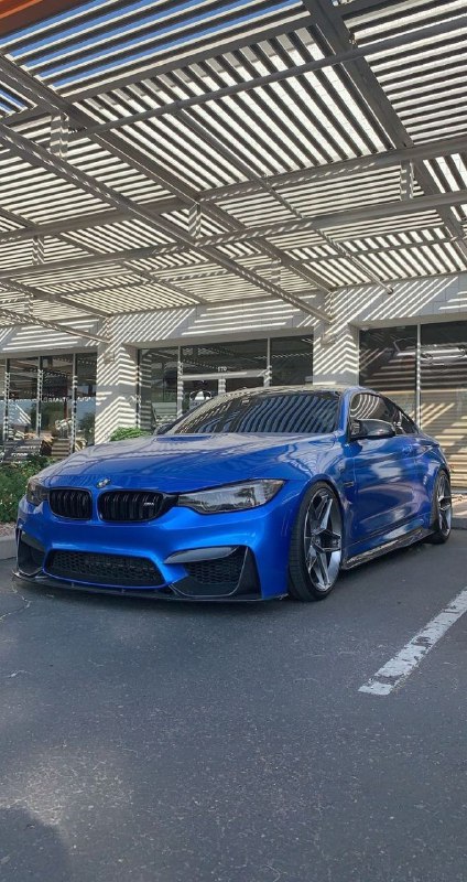 https://t.me/bmw_mpower_club