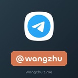 @wangzhu 网主 网助 NFT