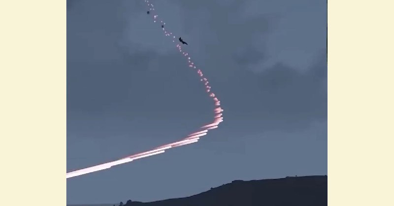 Why a decade-old video game still fuels social media hoaxes