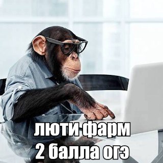 Твой друг тупее обезьяны, если не шарит в геометрии. Учёные выяснили: макаки решают задачи с фигурами почти как маленькие дети. Кто оказался на одном уровне с приматами — рассказали в нашем MAX.