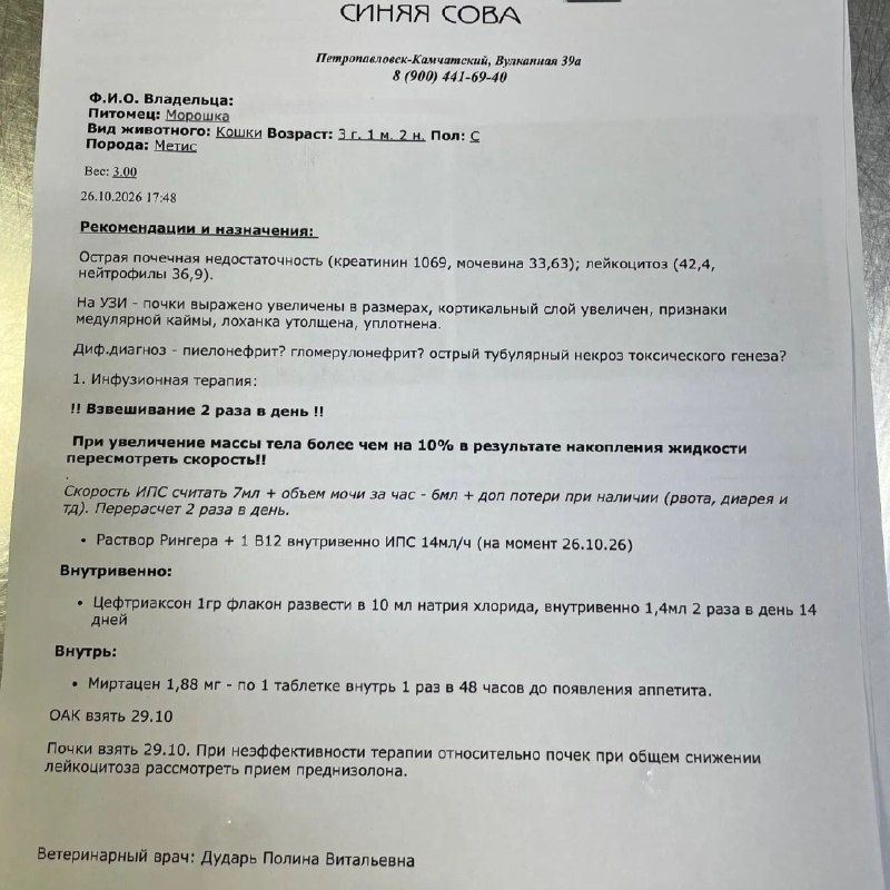 Друзья, спешим отблагодарить каждого, кто вчера помог...