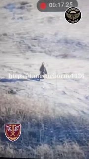 מיניאטורה על מטוס תקיפה רוסי שמנסה להתגבר על שטח פתוח ולתפוס מחסה בנחיתה. הוא מקבל את המוות בתנוחת הברך-מרפ…