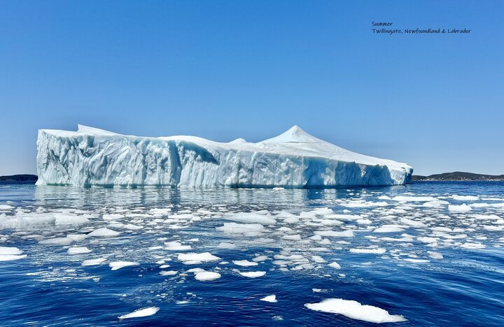 【加拿大】紐芬蘭省與冰山相遇的奇幻旅程