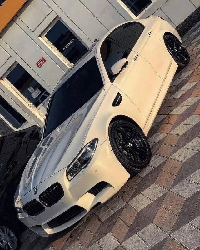 https://t.me/bmw_mpower_club