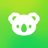 Chasing koala