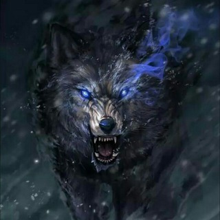 لعبة الذئب 🐺 Telegram Group Link