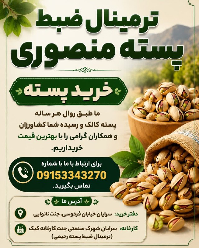 سرایان20: 🌿 ترمینال ضبط پسته منصوری 🌿🔸 خرید پسته کالک و رسیدهطبق روال هر ساله، پسته کالک و رسیده کشاورزان و همکاران گرامی را با به
