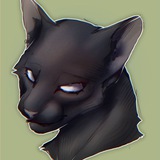 Fenekom arts