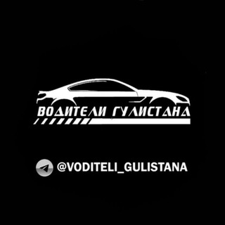 Telegram profile photo for ВОДИТЕЛИ ГУЛИСТАНА