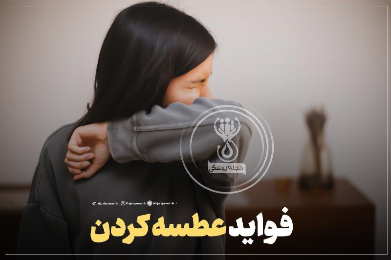 پایگاه خبری صدای بوکان: فواید عطسه کردن👇🏻▫️تقویت چشم▫️پاکسازی عروق و بافت ها▫️پاک کردن رسوبات از قلب، ریه، حنجره▫️مفید برای جریان خون+ جلوگیری ا