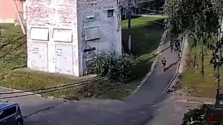Две американские булли напали на пятилетнего ребёнка в подмосковном посёлке Павловское — парнишка получил рваные раны головы, теменной области, левого плеча, а также гематому грудной клетки. Сейчас он находится в больнице, пишет Shot. На хозяина булли заве