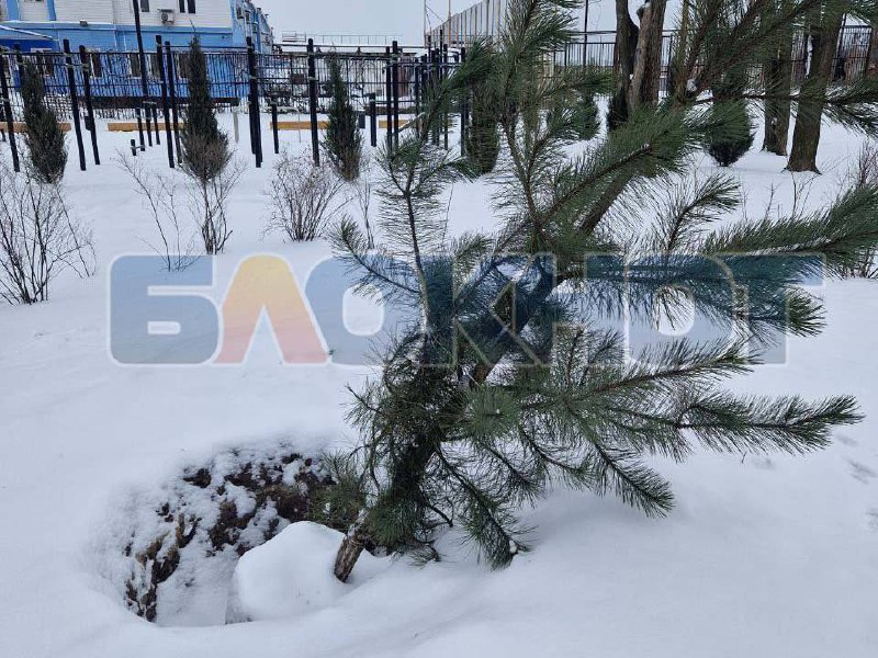 Изображение 5