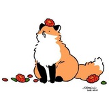 𝓲𝓷𝓯𝓸 𝓯𝓻𝓬𝓱𝓲𝓴 🦊