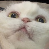 Страдания косплеера