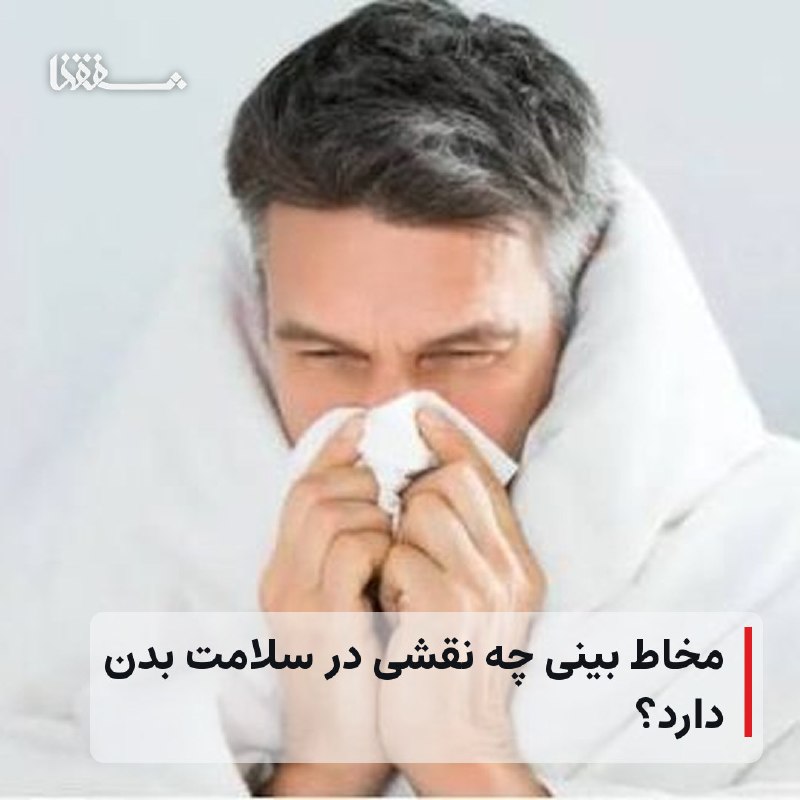 رفیق مدیا: 🔴 مخاط بینی چه نقشی در سلامت بدن دارد؟⬅️ اگر به سرماخوردگی مبتلا شده‌اید و ترشحات بینی به سمت پشت گلو حرکت می‌کنند و ناخ